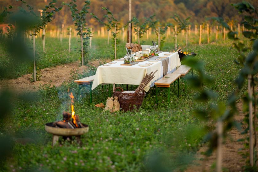 Tafel im Haselnusshain